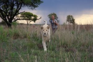 le film "Mia et le lion blanc" de Gilles De Maistre.