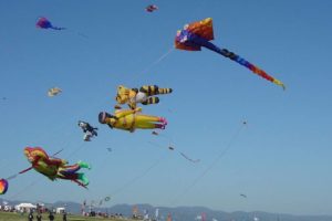 Des cerfs-volants à Cervolix