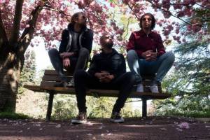 Dragon Rapide / photo Marianne Plage