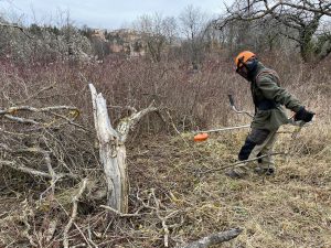 Future zone maraîchère 2 / photo ville de Beaumont