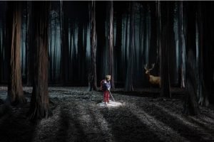 Le bruit des Loups / Photo Prisma Laval