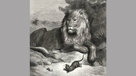 La Fontaine / illustration I stock
