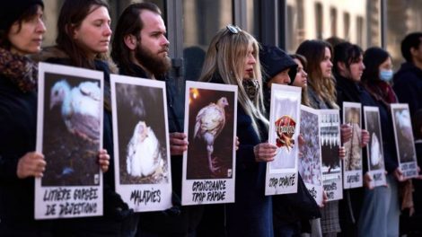 Manif contre Maître Coq / Photo L214