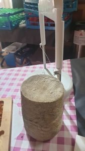 Fourme d'Ambert / Photo 7 Jours à Clermont