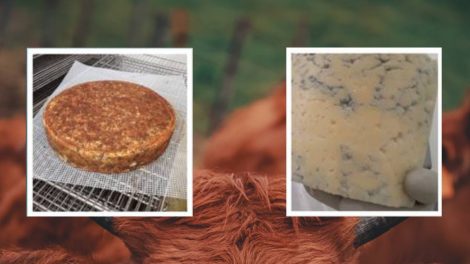 Nouveautés Salers / Photos DR