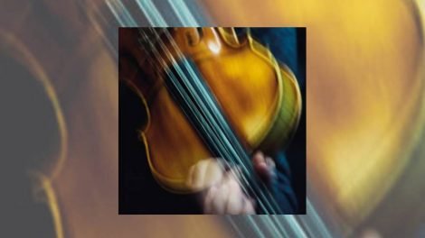 Violon / Photo Julien Mignot