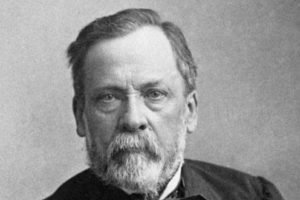 Louis Pasteur / Photo Wikipédia