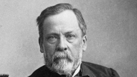 Louis Pasteur / Photo Wikipédia