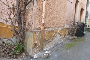 Figuier / Photo 7 jours à Clermont