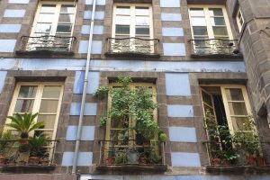 Végétal sur façade clermontoise / photo 7 Jours à Clermont