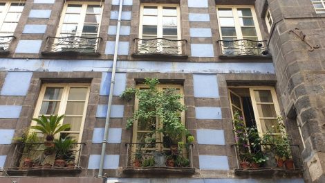 Végétal sur façade clermontoise / photo 7 Jours à Clermont