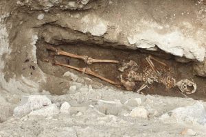 Squelette Renoux / Photo 7 Jours à Clermont