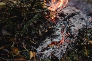 Végétaux qui brûlent / Photo E. Bronzini