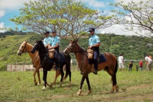 Gendarmes et chevaux / Photo DR