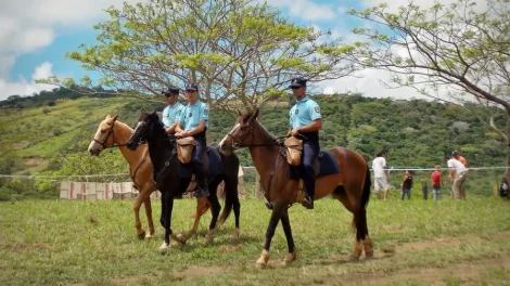 Gendarmes et chevaux / Photo DR