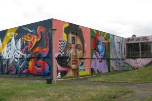 Steet Art City 1 _ Photo 7 Jours à Clermont