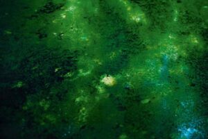 Eric Poitevin-FRAC / Jours de lumière