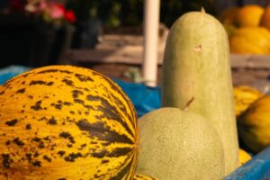 Courges / Photo Buse D - Pexels