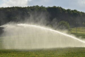 Arrosage et son embrun / Photo S. Mignon Wikipédia