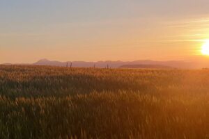 Chaîne des Puy couché de soleil / Photo Olivier Perrot