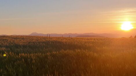 Chaîne des Puy couché de soleil / Photo Olivier Perrot