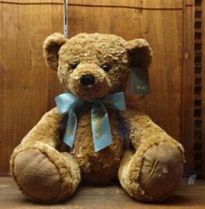 Nounours / Photo 7 Jours à Clermont