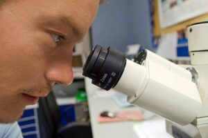 démarche scientifique / Photo Pixabay