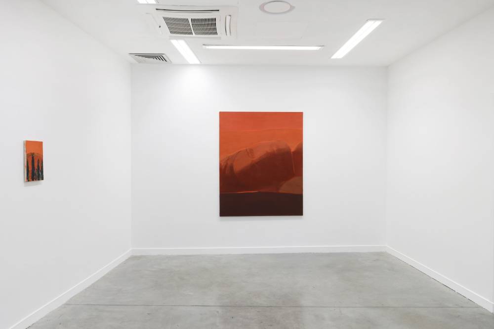 Œuvres de Christine Safa / Photo FRAC Auvergne