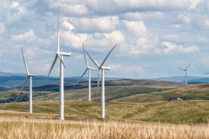 Parc éolien / Photo Ed White - Pixabay