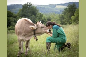 "Lumières sur les femmes diamants du monde rural" Photo Rémi Horiot