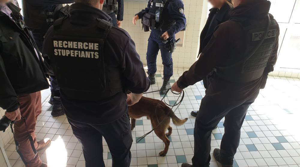 Place nette xxl, Saint-Jacques avec chien Photo 7 jours à Clermont