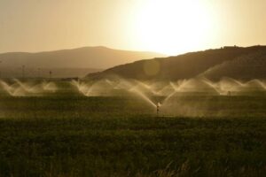 Irrigation / Photo Suleyman Sahan Pexels