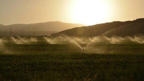 Irrigation / Photo Suleyman Sahan Pexels