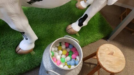 Vache INRAE / Photo INRAE