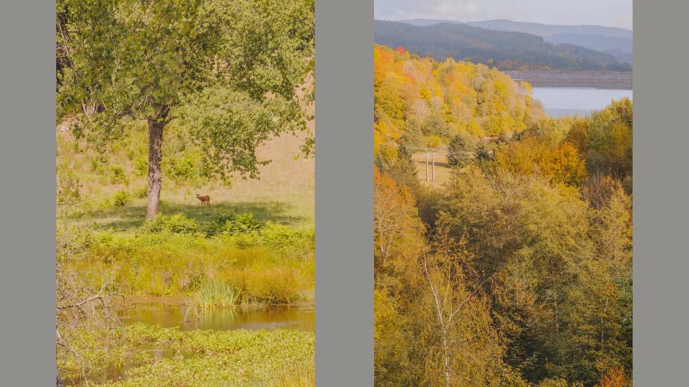 Letizia LE FUR "Mines de rien"