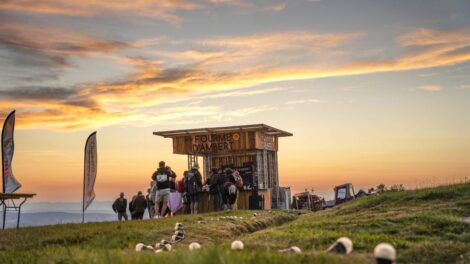 Stand Fourme d'Ambert dans le Livradois / Photo Clara Michard