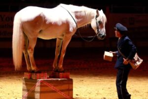La tournée du facteur / Photo cie Andjaï