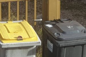 Bac jaune, bac gris / Photo 7 Jours à Clermont