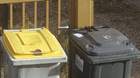 Bac jaune, bac gris / Photo 7 Jours à Clermont