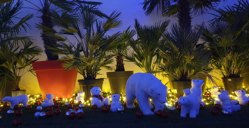 Ours polaires Maison Vellard / Photo 7 Jours à Clermont