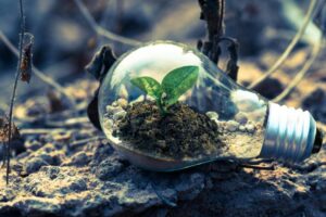 idée éco-défi / Photo Singkham - Pexels