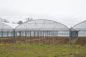 Ferme du rebond Photo Jodie Way