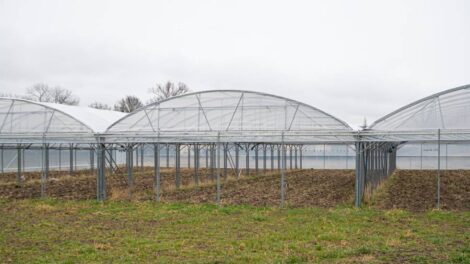 Ferme du rebond Photo Jodie Way