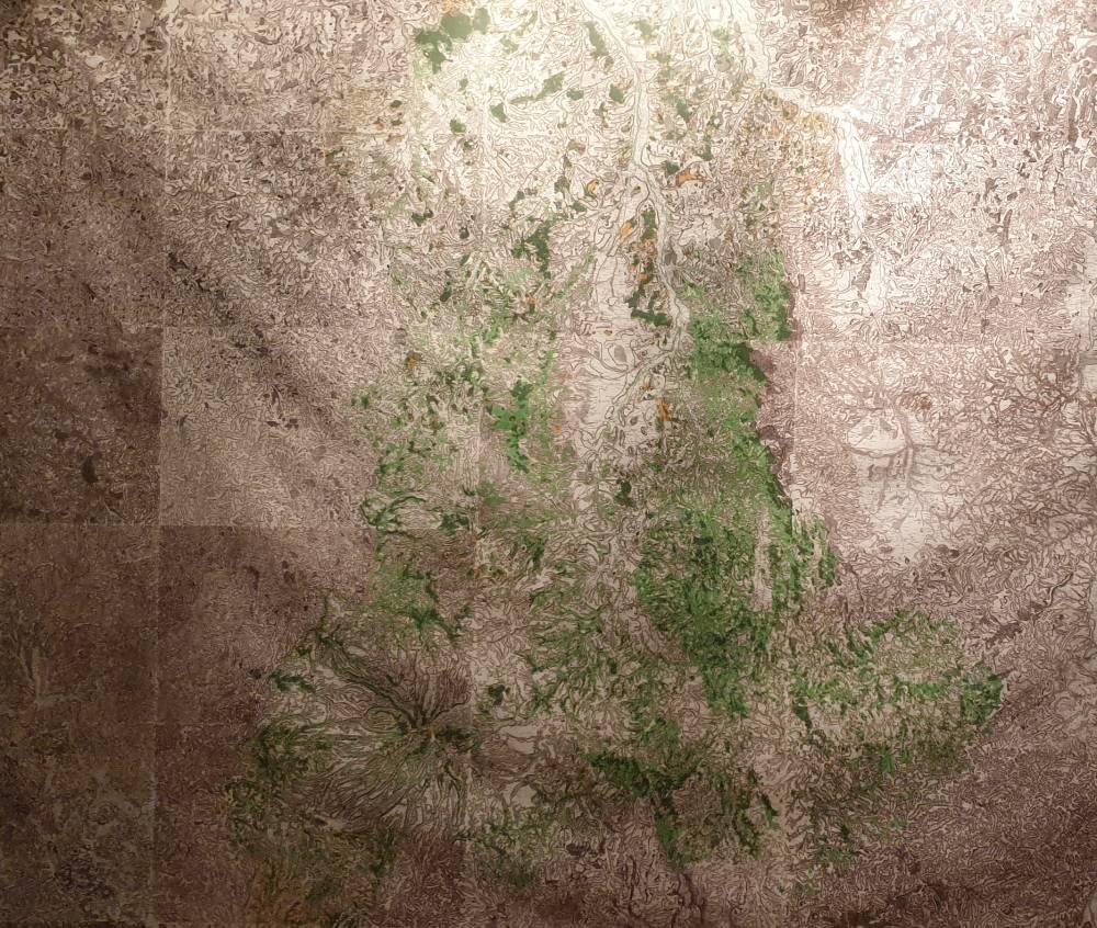 Carte des vieilles Forêts du Puy-de-Dôme