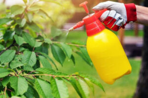 Photo pesticides - © IStock
