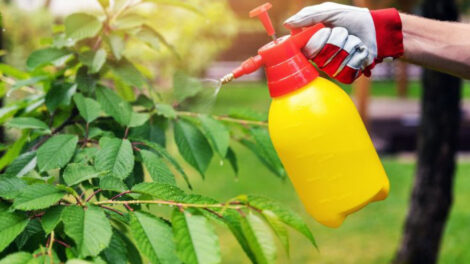 Photo pesticides - © IStock