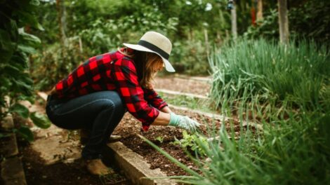 Au jardin - Photo Helena Lopes -Pexels