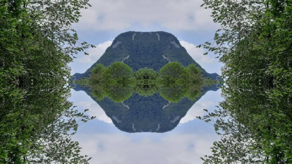 ForestSpaceship, (c) Suzanne Treister