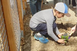 Première plantation au Jardin des Violettes /Photo 7 Jours à Clermont