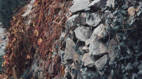 Mur de pierres sèches / Photo Sergey Okhrymenko - Pexels
